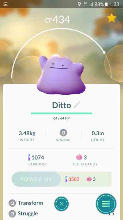 ditto