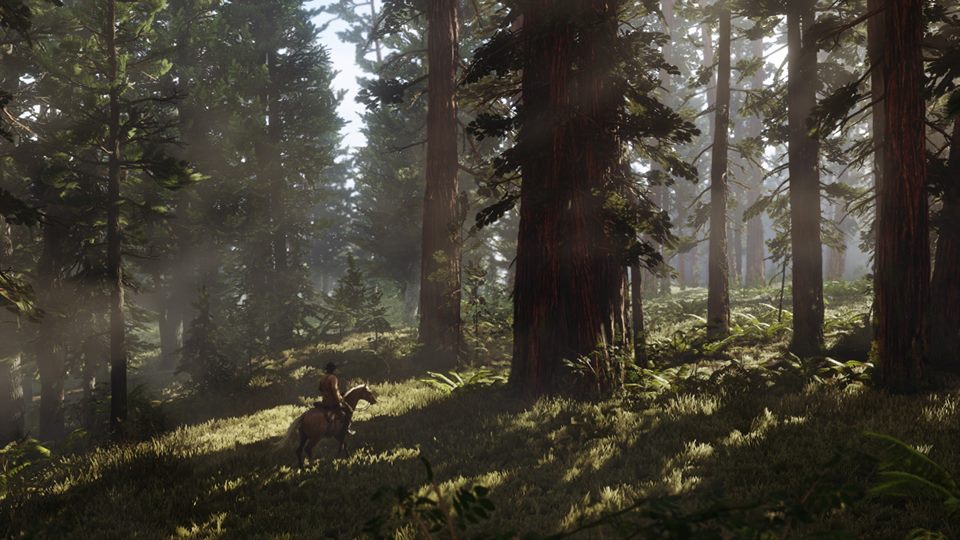 RDR3