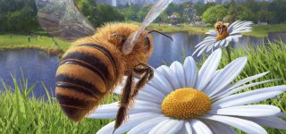 co-op bee simulator