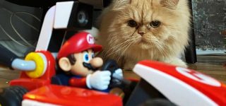 mario kart live kat