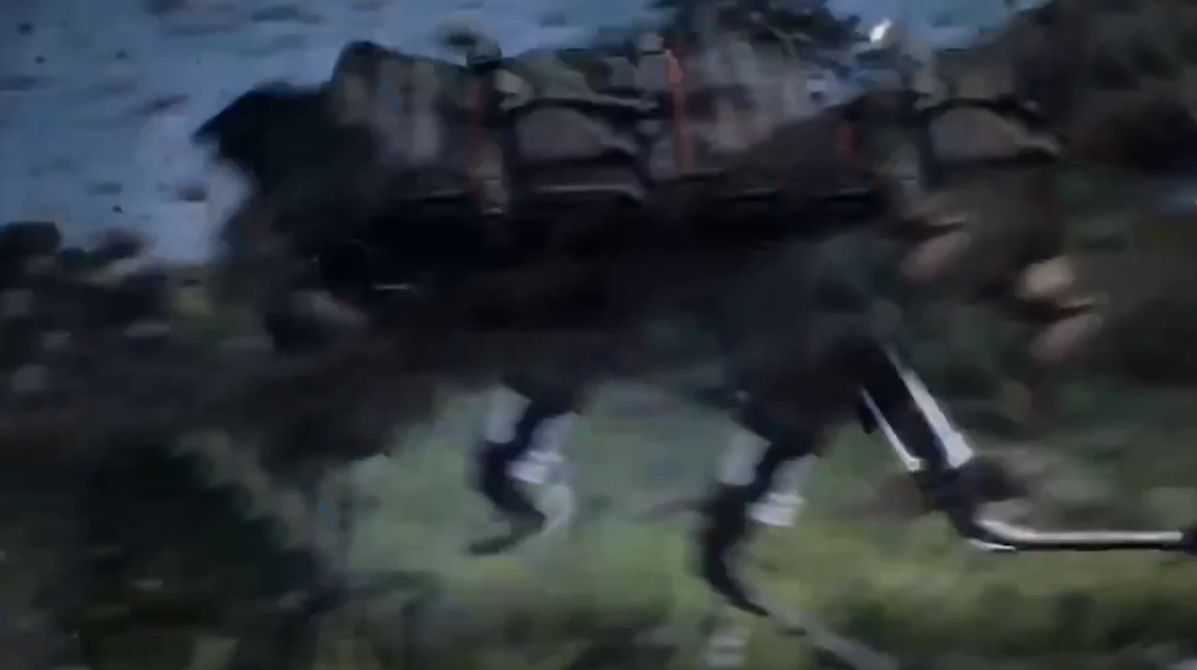 BF5