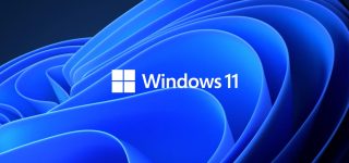 Windows 11