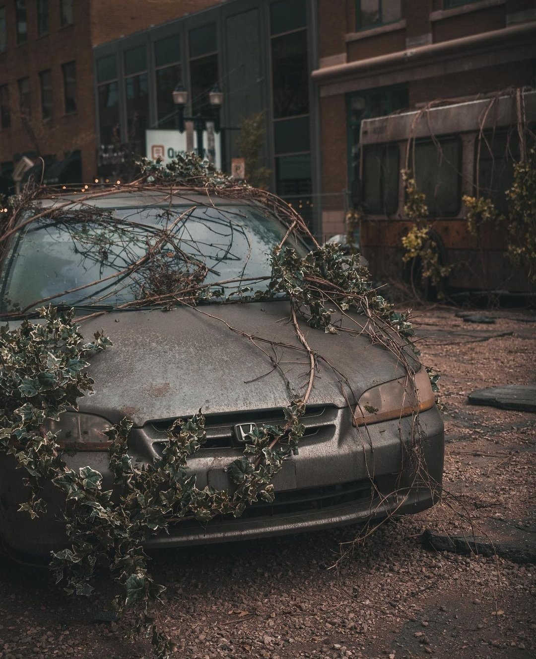 TLOU4