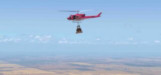 Forza Horizon 5 stunt 1