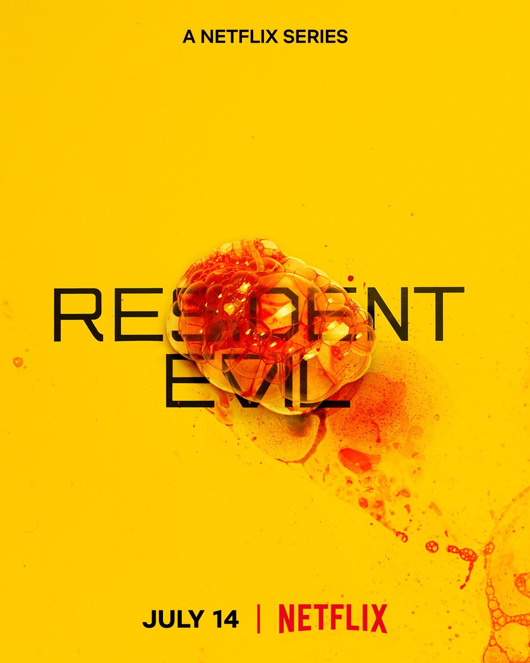 Resi Netflix P3