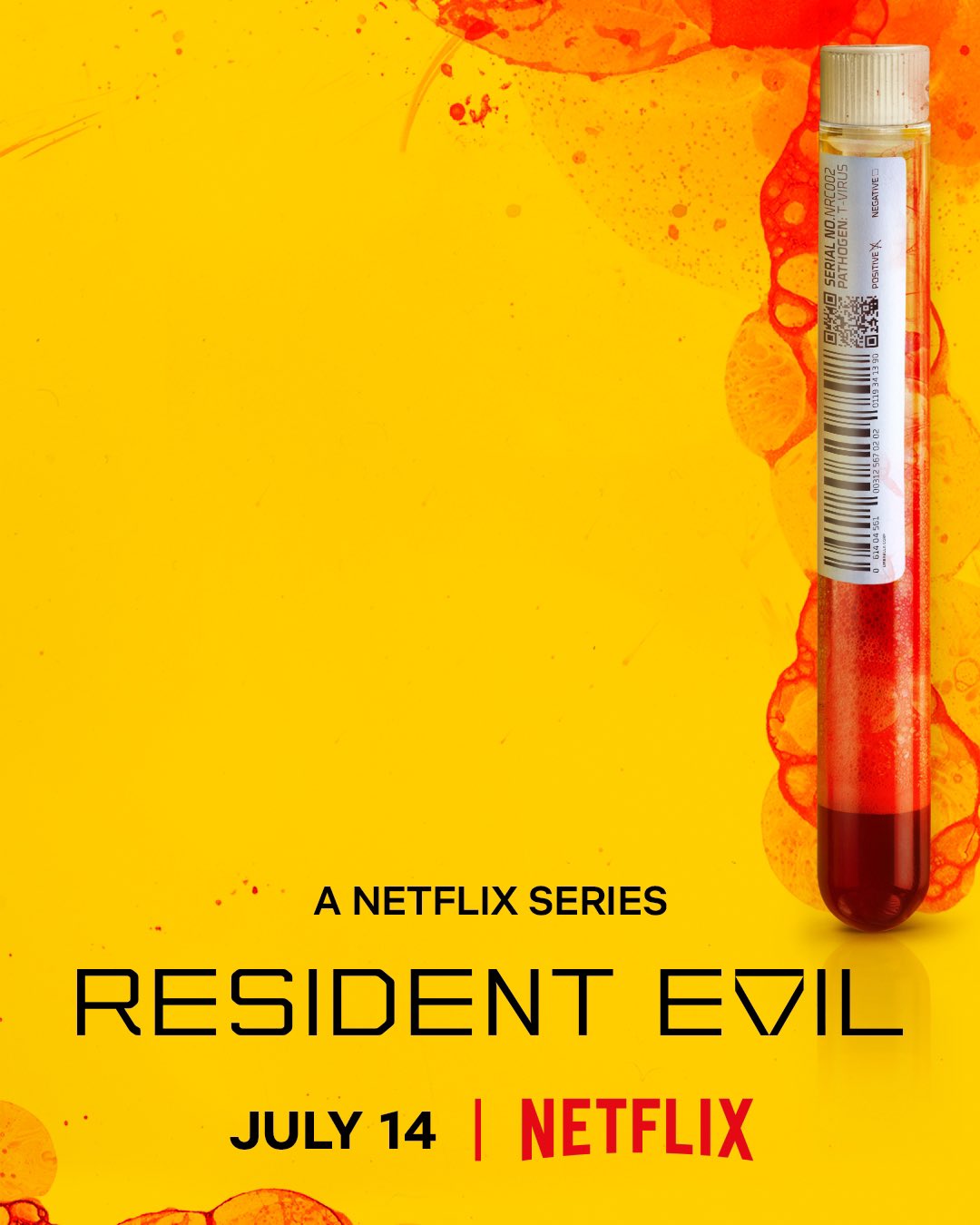 Resi Netflix p2