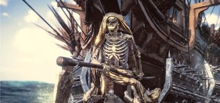 Skull bones