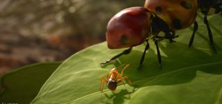 Ants 1