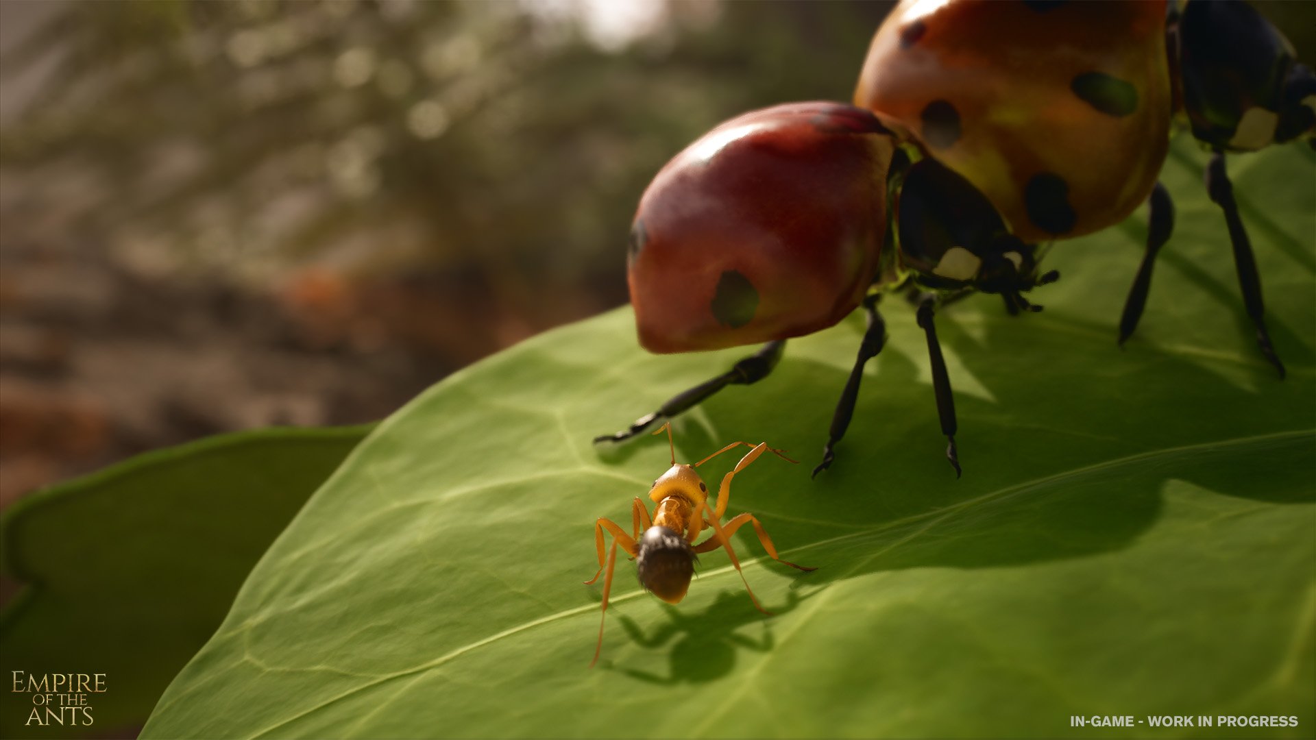 Ants 1