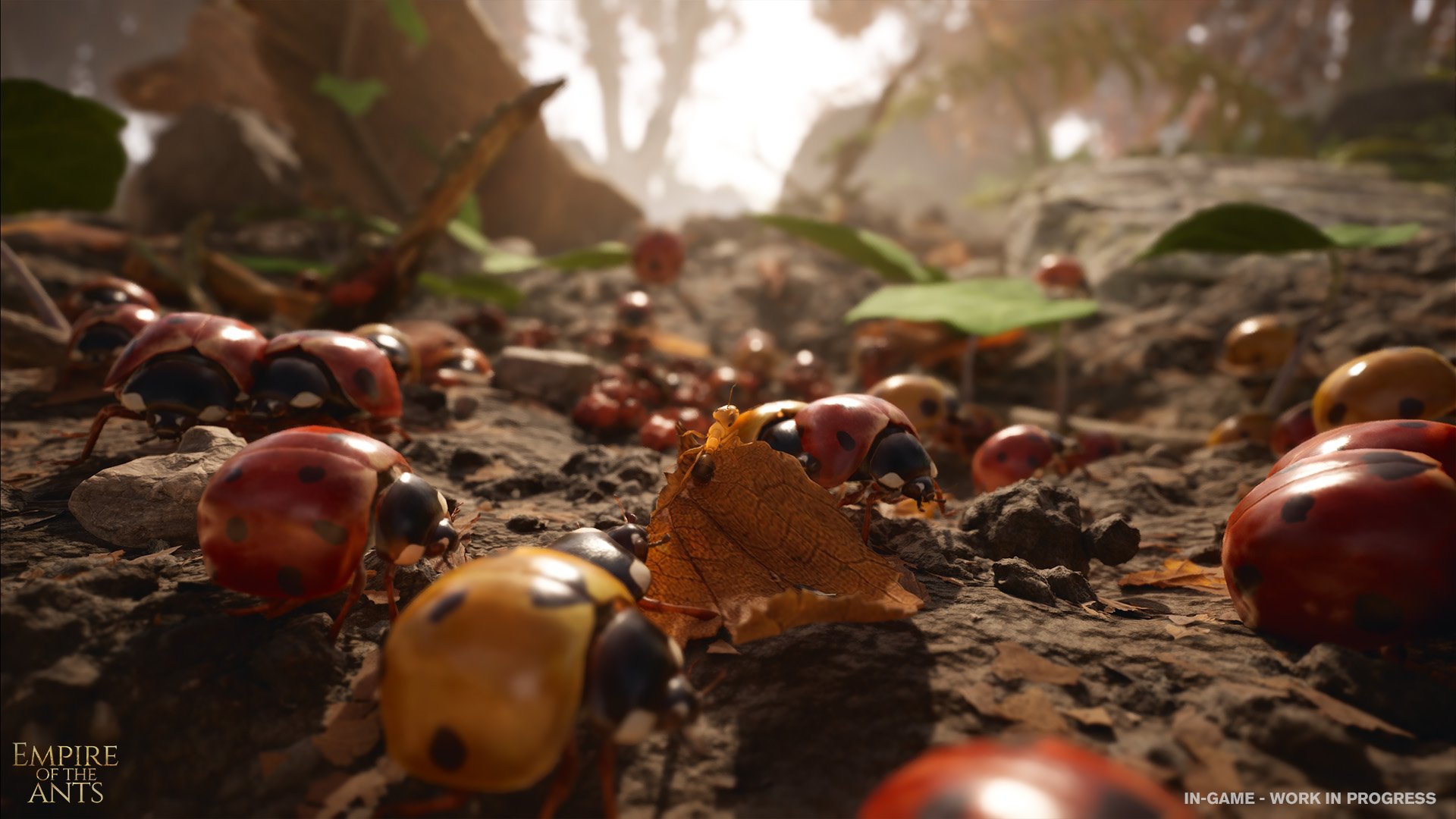 Ants 2