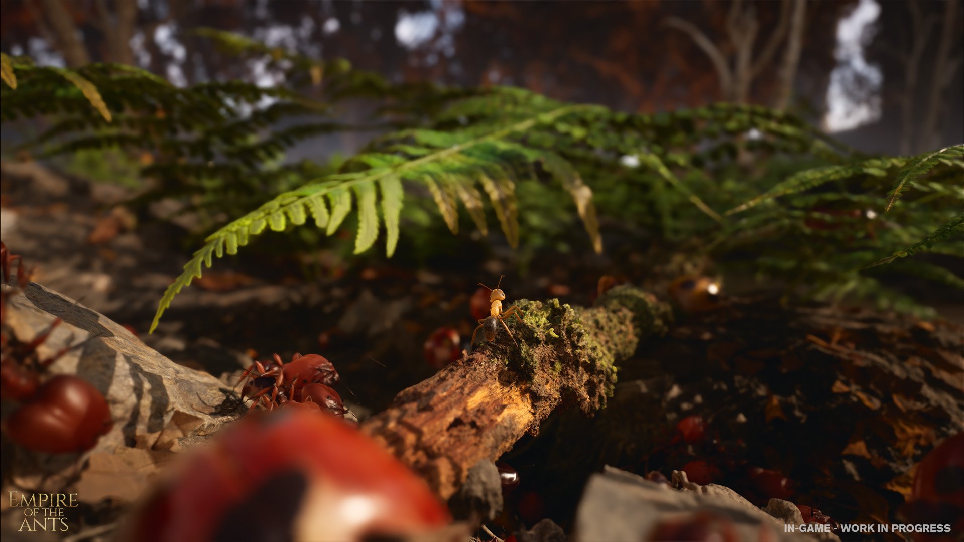 Ants 3