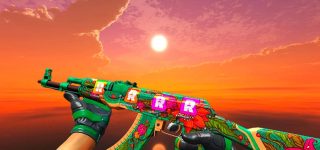 CS GO skin AK