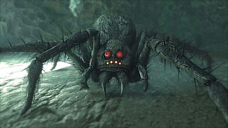 hogwarts legacy spider modus