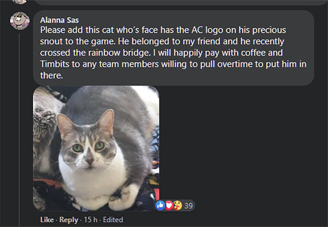 AC Cat 2
