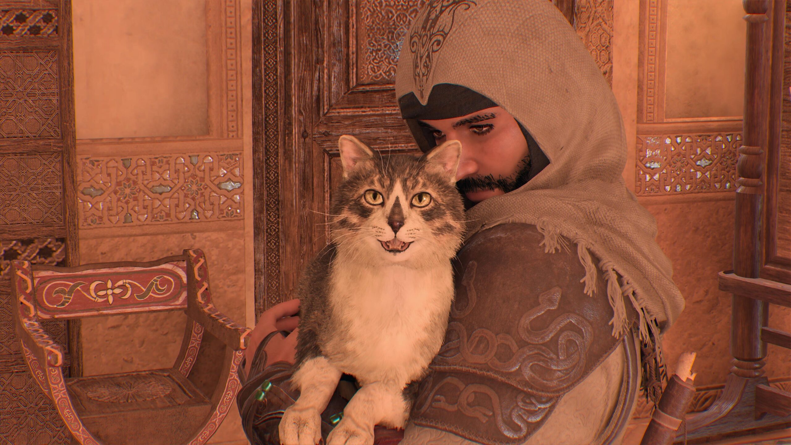 AC Cat
