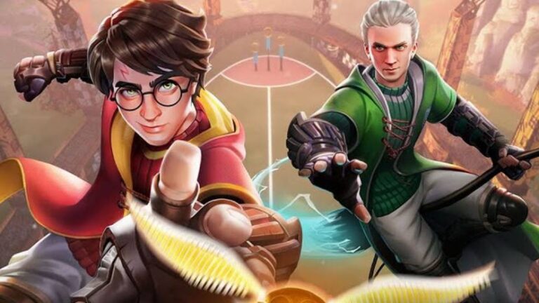 Quidditch Champions