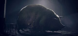 Tarsier teaser