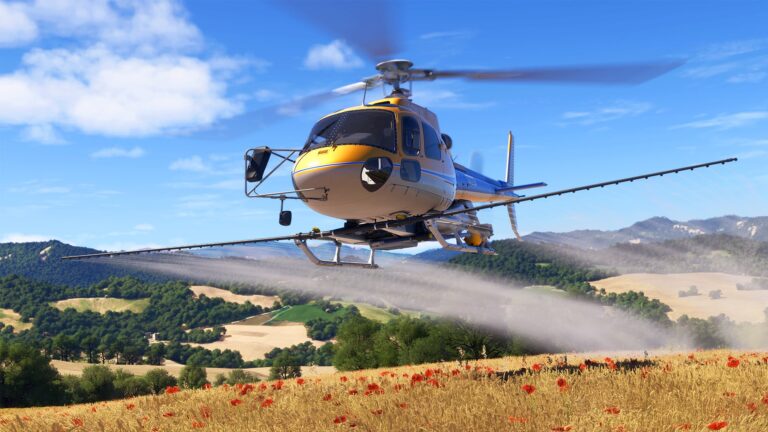 Flight Sim