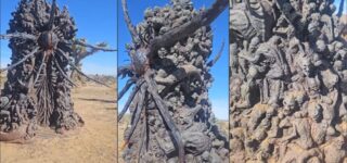 gale wards statue larian