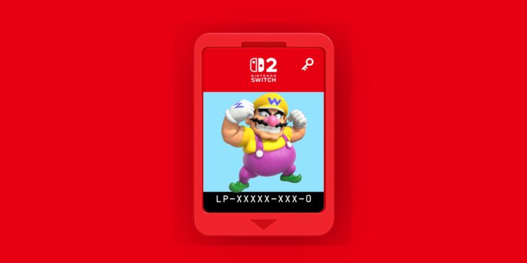 swicth 2 game key card nintendo