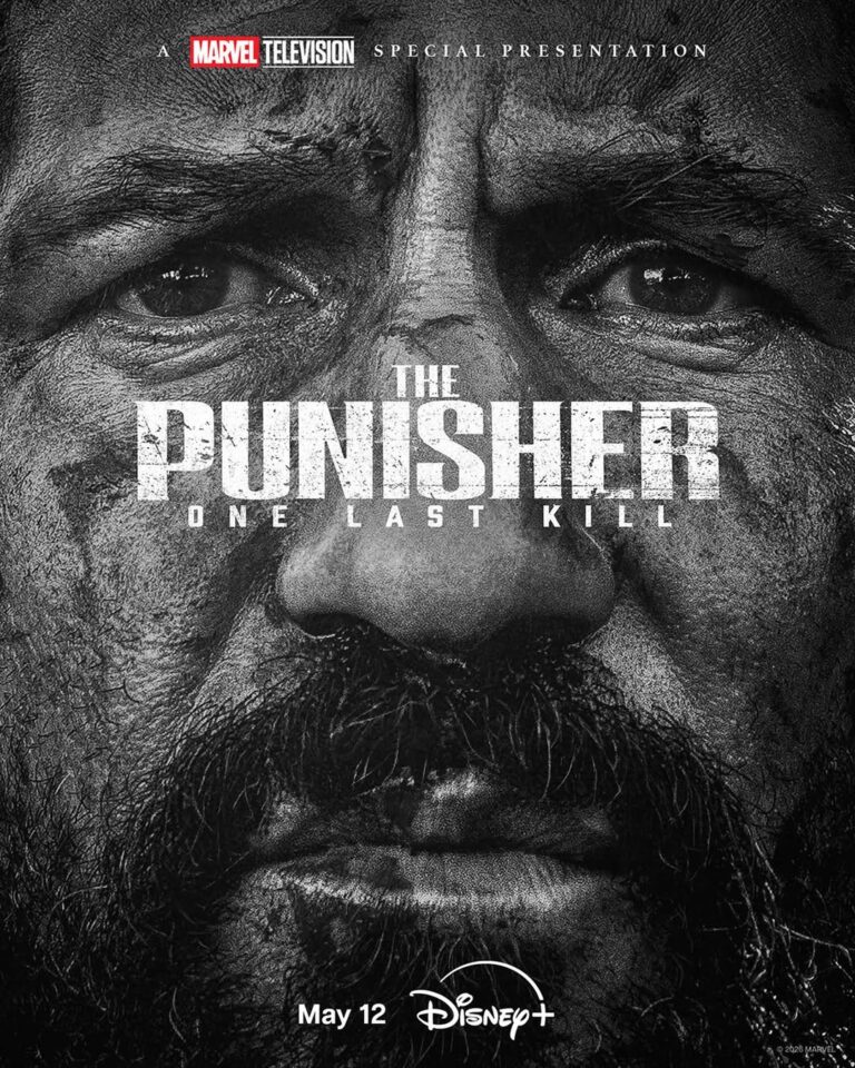 The Punisher: One Last Kill.