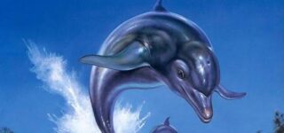 Ecco the dolphin: Complete