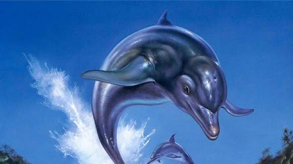 Ecco the dolphin: Complete